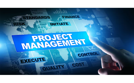 PRO011 Project Management